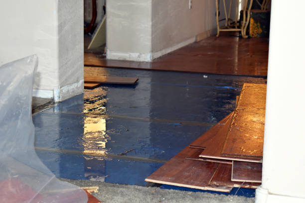 Professional Storm Water Damage Restoration technician working in Burlington, IL
